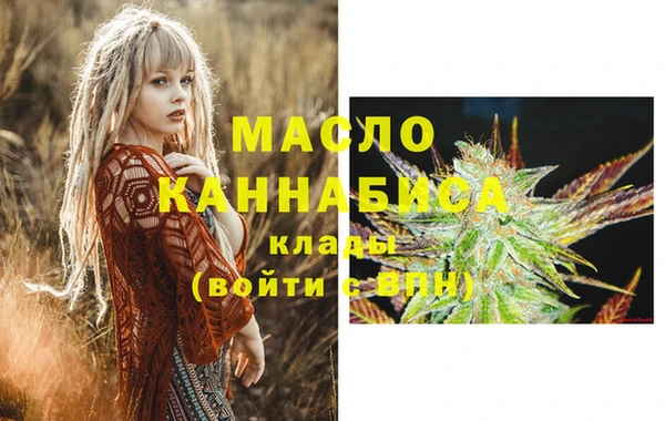 гидра Краснослободск