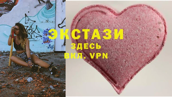 гидра Краснослободск