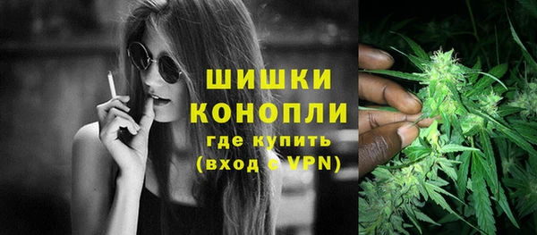 гидра Краснослободск