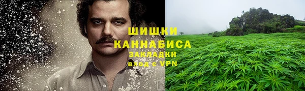 гидра Краснослободск