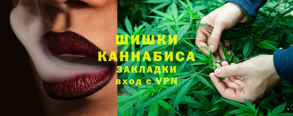 гидра Краснослободск
