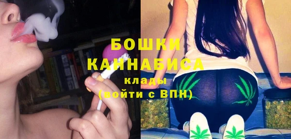 гидра Краснослободск