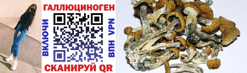 Галлюциногенные грибы MAGIC MUSHROOMS  купить  цена  Нерюнгри 
