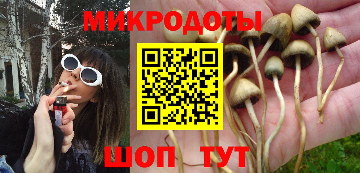 Псилоцибиновые грибы Psilocybine cubensis  Псилоцибиновые грибы мицелий  Вход с VPN  Нерюнгри 