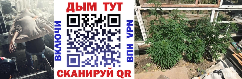 Шишки марихуана семена  Нерюнгри 